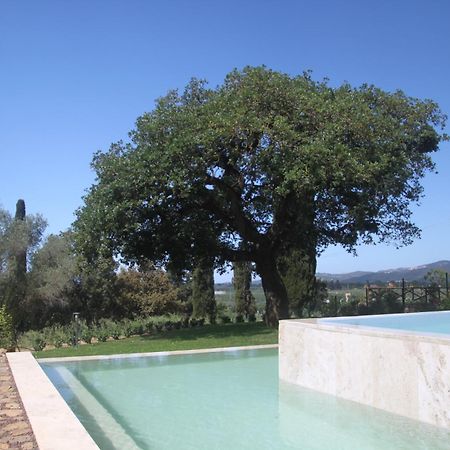 Agriturismo Il Broletto Суверето Екстер'єр фото