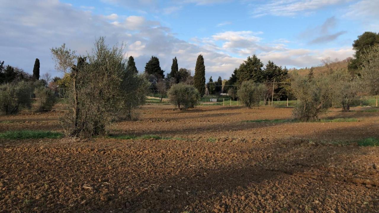 Agriturismo Il Broletto Суверето Екстер'єр фото